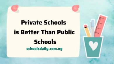 Private Schools is Better Than Public Schools in Nigeria - Opinion