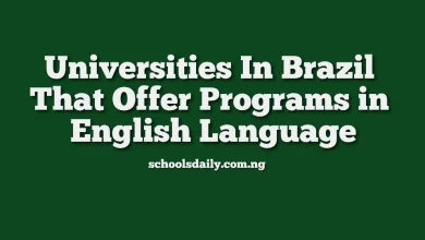 Universities In Brazil That Offer Programs in English Language