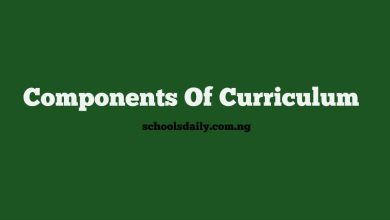 Components Of Curriculum